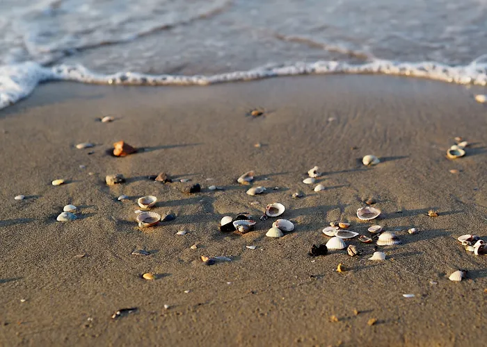 Daire Bright Flat In With Pool - Beahost Bibione